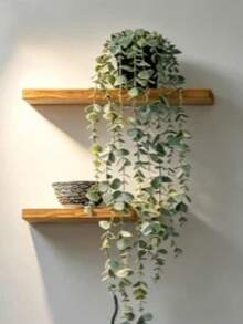 Artificial Plants Hanging Planter Wall-Mounted Shelf Decor Suitable For Indoor Outdoor Living Room Shelf Decoration Home Decor Room Decor Garden Decor Wall Decor - Eucalyptus - View 11