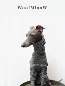 Italian Greyhound Whippet Dog Clothes, Fashionable Soft Fleece Comfortable Elastic Sweatshirt Home Wear Four-Legged Outfit For Medium And Large Dogs, Autumn/Winter - Black - View 7