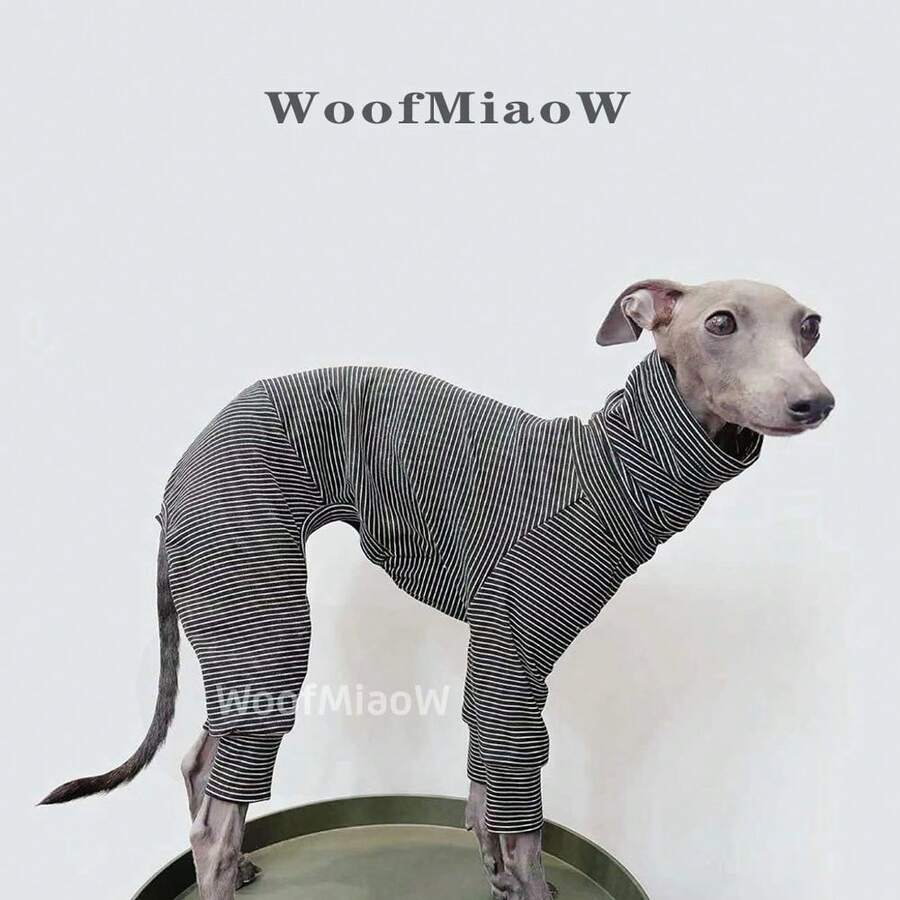 Italian Greyhound Whippet Dog Clothes, Fashionable Soft Fleece Comfortable Elastic Sweatshirt Home Wear Four-Legged Outfit For Medium And Large Dogs, Autumn/Winter - Black - View 1