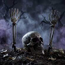 3PCS Halloween Skeleton Hand Ground Stake Set, Outdoor Lawn Cemetery Decoration, Haunted House Party Backdrop, Realistic Bone Skeleton - View 1