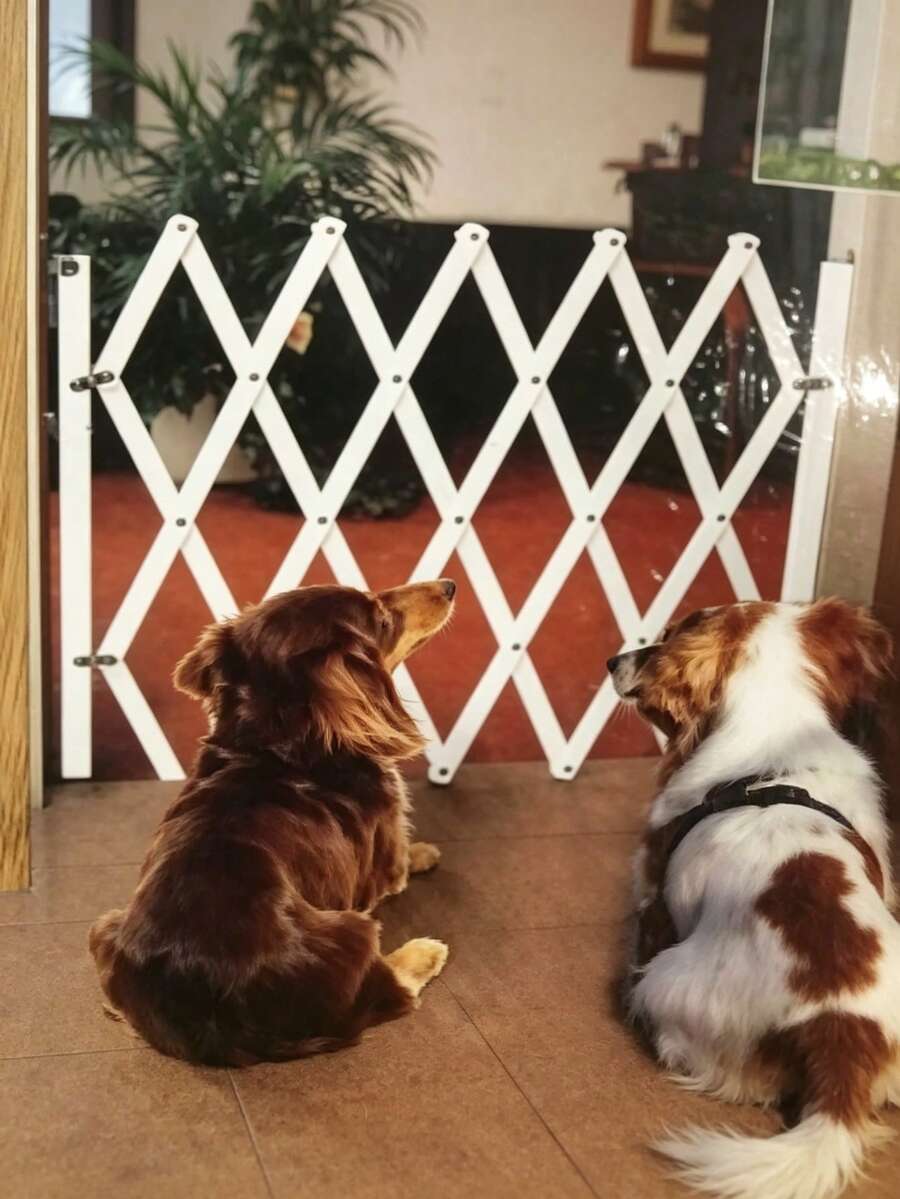 1-Piece Width-Adjustable Bamboo Pet Playpen; Stable And Breathable Diamond Hollow Design Prevents Cats And Dogs From Running Around Freely, Suitable For Kitchens And Hallways, And Space-Saving For Storage - Multicolor - View 1