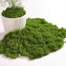1pc 100g Artificial Moss, Suitable For Various Occasions, Home Decor Faux Moss, Micro Landscape Arrangement Decoration, Lawn Bonsai Potted Plant Ground Cover Landscape - Green - View 3