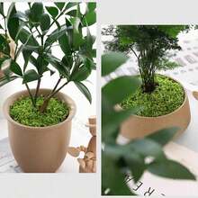 1pc 100g Artificial Moss, Suitable For Various Occasions, Home Decor Faux Moss, Micro Landscape Arrangement Decoration, Lawn Bonsai Potted Plant Ground Cover Landscape - Green - View 11
