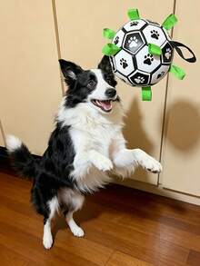Pet Dog Toy Built-In Webbing Football Interactive Dog Toy Indoor Outdoor Dog Toy Regular Dog Football Available For Large, Medium, And Small Dogs - White - View 3