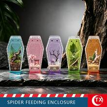 Multi-Color Transparent Acrylic Reptile & Amphibian Terrarium, No Assembly Magnetic Ventilation Lid Spider Habitat Box With Feeding Water Dish, 360° Fully Transparent DIY Enclosure For Jumping Spiders, Tarantulas, Lizards And Small Pets, Suitable For Beginners - Clear - View 5