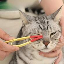 1pc Cleaning Tweezers + Fine-Tooth Comb: Pet Tear Stain And Eye Cleaning Tool - Soft Bristle Brush, Tweezers And Grooming Comb, Suitable For Cats And Dogs - View 2
