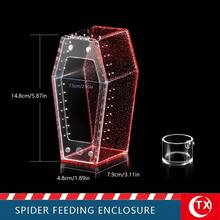 Multi-Color Transparent Acrylic Reptile & Amphibian Terrarium, No Assembly Magnetic Ventilation Lid Spider Habitat Box With Feeding Water Dish, 360° Fully Transparent DIY Enclosure For Jumping Spiders, Tarantulas, Lizards And Small Pets, Suitable For Beginners - Clear - View 18