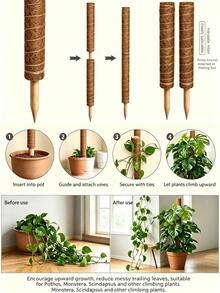 5pcs 12 Inch Stackable Moss Support Poles, Climbing Plant Support Stakes, Suitable For Pothos, Monstera - Cylindrical - View 2