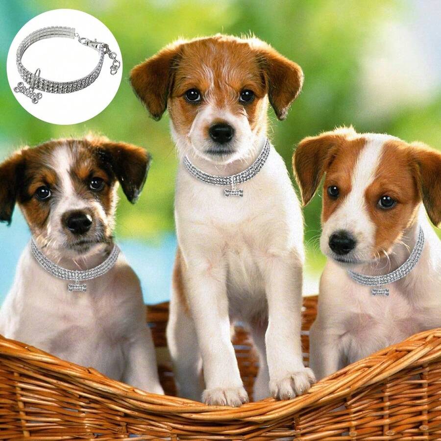 1pc Pet Collar, White Necklace, Suitable For Cats And Dogs, Decorated With Bone Pattern, Suitable For All Seasons - Silver - View 1