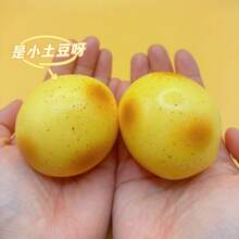 New Fried Crispy Potato Super Thin Super Soft Handmade Squishy Toy - Dry Clay Squeeze Toy Silicone Stress Relief Toy (Pendant Color Random) - Birthday Gift - Ideal Gift - Surprise Gift - Holiday Gift - Couple Gift - Gift - Squishy - Multicolor - View 8