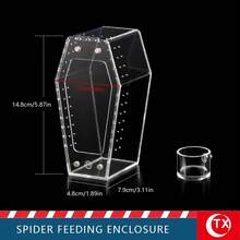 Multi-Color Transparent Acrylic Reptile & Amphibian Terrarium, No Assembly Magnetic Ventilation Lid Spider Habitat Box With Feeding Water Dish, 360° Fully Transparent DIY Enclosure For Jumping Spiders, Tarantulas, Lizards And Small Pets, Suitable For Beginners - Clear - View 19
