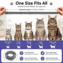 2pcs Adjustable Medium Pet Flea And Tick Collar, Natural Ingredients Mosquito Repellent, Waterproof, Wearable For 1 Week, 8 Months Protection, Suitable For Dogs, Cats And Small To Medium-Large Pets, Pet Supplies - Multicolor - View 2