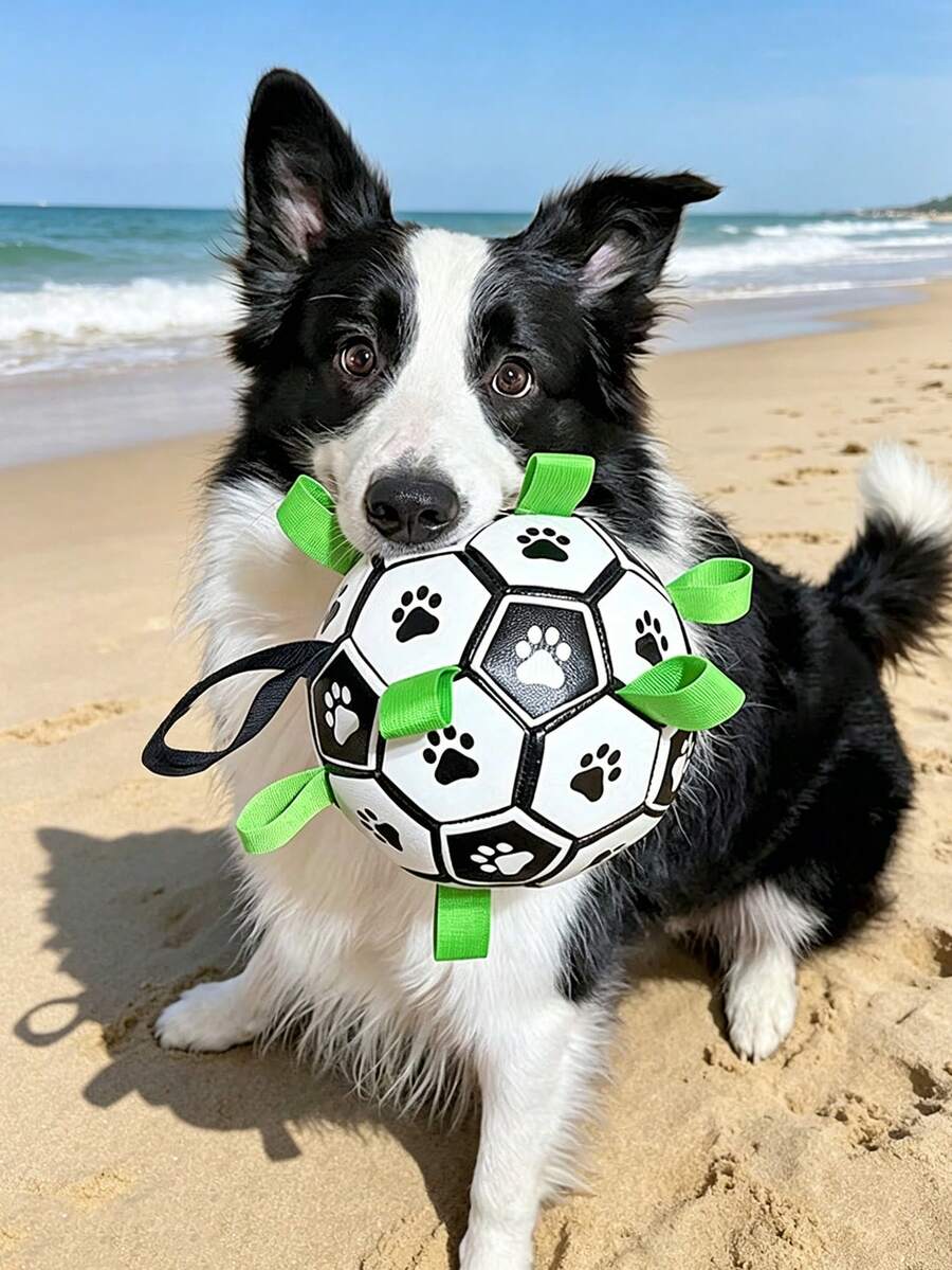 Pet Dog Toy Built-In Webbing Football Interactive Dog Toy Indoor Outdoor Dog Toy Regular Dog Football Available For Large, Medium, And Small Dogs