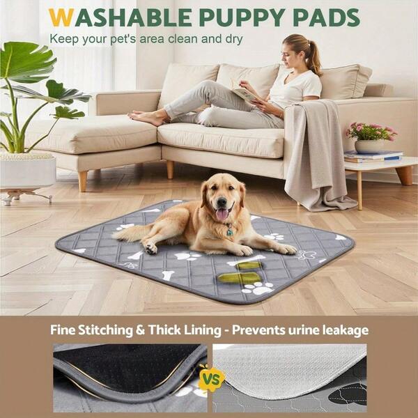 1PC Reusable Dog Training Pad - Soft And Durable Fabric, Easy To Clean Surface, Suitable For Indoor/Outdoor Use, Puppy Potty Training And Home Training, Dog Potty Training, Indoor Pet Care, Lively Pet Design, Dog Accessories, Pet Supplies