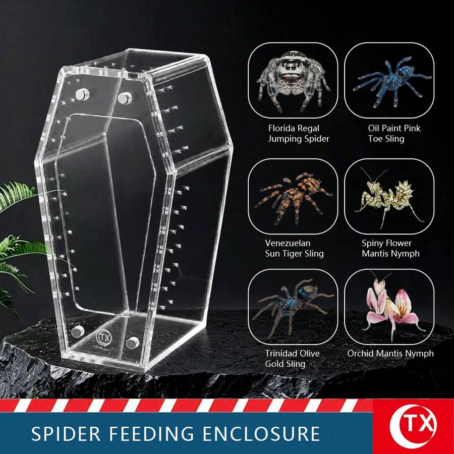 Multi-Color Transparent Acrylic Reptile & Amphibian Terrarium, No Assembly Magnetic Ventilation Lid Spider Habitat Box With Feeding Water Dish, 360° Fully Transparent DIY Enclosure For Jumping Spiders, Tarantulas, Lizards And Small Pets, Suitable For Beginners