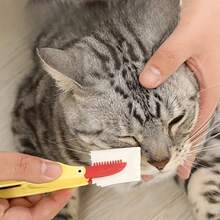 1pc Cleaning Tweezers + Fine-Tooth Comb: Pet Tear Stain And Eye Cleaning Tool - Soft Bristle Brush, Tweezers And Grooming Comb, Suitable For Cats And Dogs - View 3