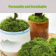 1pc 100g Artificial Moss, Suitable For Various Occasions, Home Decor Faux Moss, Micro Landscape Arrangement Decoration, Lawn Bonsai Potted Plant Ground Cover Landscape - Green - View 6
