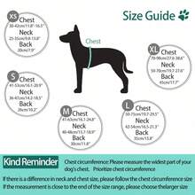 Chaleco salvavidas para perros, chaleco de natación para perros, asa de rescate mejorada, resistente al desgarro | Ajuste de barriga ajustable para playa y navegación, excelente flotabilidad, adecuado para perros pequeños, medianos y grandes - Azul - Ver 3