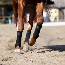 2pcs Polar Fleece Horse Leg Wraps Bandage Boots, Pony Knee & Ankle Pads, Front Leg Protective Wraps Anti-Collision, Pressure Relief, For Equestrian Horse Racing - Multicolor - View 2