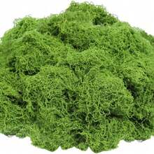 1pc 100g Artificial Moss, Suitable For Various Occasions, Home Decor Faux Moss, Micro Landscape Arrangement Decoration, Lawn Bonsai Potted Plant Ground Cover Landscape - Green - View 13