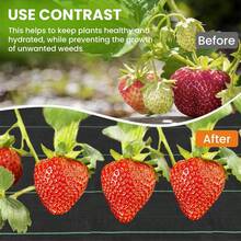 Polypropylene Woven Control Fabric, UV Resistant Stable Ground Cover, Water Permeable Durable Barrier, Suitable For Garden, Farm, Orchard, Greenhouse Planting - A - View 9