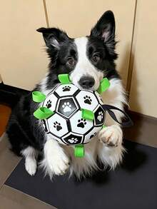 Pet Dog Toy Built-In Webbing Football Interactive Dog Toy Indoor Outdoor Dog Toy Regular Dog Football Available For Large, Medium, And Small Dogs - White - View 6