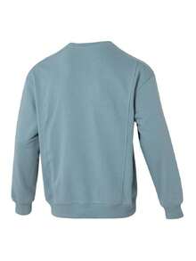 Under Armour Men's Sports Sweatshirt APAC Terry OG 96 Crew-GRN Fitness Training Casual Crew Neck Long Sleeve Top 6010096-323 - Serpentine Green - View 2
