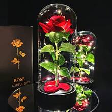 壓克力蓋保鮮玫瑰花，聖誕節情人節禮物裝飾，節日禮品 - 彩色 - 查看 1
