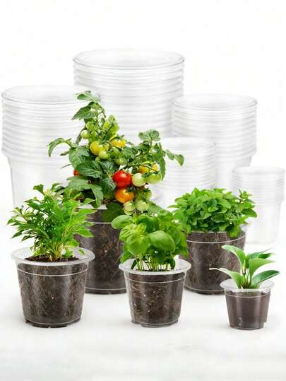 1-5 buc. ghivece transparente din plastic pentru răsaduri de plante, cu găuri de drenaj, potrivite pentru suculente de interior, germinare semințe, răsaduri de flori, butași și observarea creșterii rădăcinilor