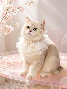 Kalung Hewan Peliharaan Jala Berwarna Putih Lembut dengan Hiasan Emas, Rantai Mutiara dengan Pita Renda, Ringan dan Bernapas, Desain Gaya Putri, Cocok untuk Kucing British Shorthair, Ragdoll, dan Anak Anjing Kecil, Sempurna untuk Ulang Tahun, Pemotretan, Kalung Dekoratif Hewan Peliharaan yang Indah - MultiWarna - View 10