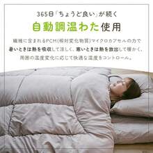 温度調整 掛け布団 シングル ダブル 調温 洗える オールシーズン 吸放湿 ウォッシャブル 夏 冬 あったか 暖かい 軽い 軽量 掛ふとん 掛布団 掛ぶとん 布団 寝具 - アッシュグレー - チェックする 2