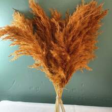 10/20/30/40pcs Artificial Pampas Grass Decor 17.3 Inch Small Faux Reed Feather Bouquet, Brown Pampas Grass Decoration Bohemian Style Room Floral Decor Wedding Vase Wreath Decoration, Bedroom Decor, Bohemian Wedding Decor, Floor Decor, Ceremony Backdrop Artificial Bouquet, Mother's Day Gift, Birthday Anniversary Gift, DIY Wreath Decoration - Burnt Orange - View 7