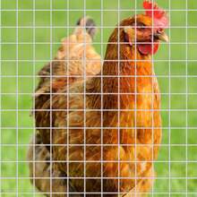 2 Sheets 1_4 Inch 137 X 40 Inches Chicken Wire Fence Wire Mesh Roll Hardware Cloth Small Galvanized Welded Metal Cage Fence For Crafting - White - View 4
