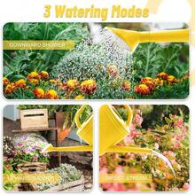 Watering Can Indoor Outdoor Plants, Plant Watering Can With Stainless Steel Shower 1 Gallon Plastic Watering Can Garden, Flowers, Vegetable, Greenhouse - A - View 4