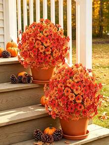 Autumn Colors