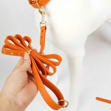 KEEPLIVE Waterproof PVC Dog Leash, Durable Stain-Resistant Pet Walking Rope, With Gold Hardware, 5 Feet Long, Suitable For Puppy Training, Daily Walks, Park, Hiking, Outdoor - Multicolor - View 5