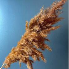 10/20/30/40pcs Artificial Pampas Grass Decor 17.3 Inch Small Faux Reed Feather Bouquet, Brown Pampas Grass Decoration Bohemian Style Room Floral Decor Wedding Vase Wreath Decoration, Bedroom Decor, Bohemian Wedding Decor, Floor Decor, Ceremony Backdrop Artificial Bouquet, Mother's Day Gift, Birthday Anniversary Gift, DIY Wreath Decoration - Burnt Orange - View 6