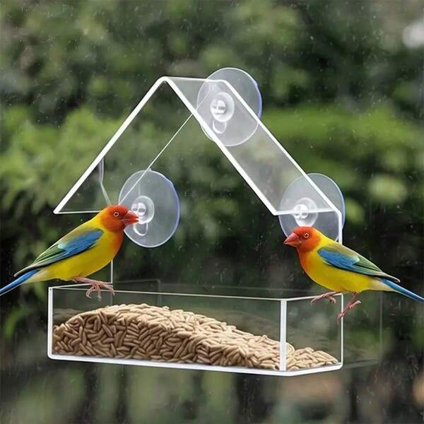 1pc Outdoor Bird Feeder Bird House, Window Bird Feeder With Strong Suction Cups, Suitable For Wild Birds, Cardinals, Bluebirds, Transparent Acrylic Bird Feeder Container, Indoor/Outdoor Garden Hanging Bird Feeding Station 219/250