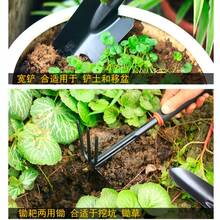 4件組園藝工具組，家用種植、鬆土、鏟子、耙子、盆栽植物、蔬菜園藝、移栽小鏟 - 園藝工具四件套 - 查看 5