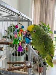 1/5/7pcs Bird Parrot Toy Set, Colorful Vine Ball With Climbing Ladder And Swing, Hammock Bell Perch, Foraging Puzzle Toy, Suitable For Small And Medium Birds, Training And Brain Exercise For Lovebirds, Parakeets, Macaws - View 12