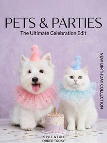 Sequin Lace Pet Birthday Set, Birthday Hat With Decorative Scarf, Cat And Dog Holiday Outfit - Multicolor - View 2
