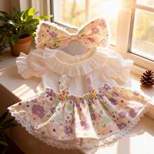 CuteKawaii Plush Doll Clothes Single Piece, Teddy Bear Rabbit Plush Doll Set, Lace Ruffle Skirt Doll Clothing Accessories, Plush Doll Doll Dress-Up Outfit, Suitable For Bear Doll, Rabbit Doll, Plush Rabbit - Multi-color - Doll Clothes - View 14