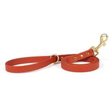 KEEPLIVE Waterproof PVC Dog Leash, Durable Stain-Resistant Pet Walking Rope, With Gold Hardware, 5 Feet Long, Suitable For Puppy Training, Daily Walks, Park, Hiking, Outdoor - Multicolor - View 7