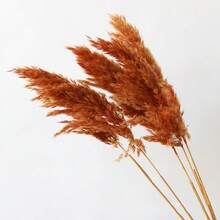 10/20/30/40pcs Artificial Pampas Grass Decor 17.3 Inch Small Faux Reed Feather Bouquet, Brown Pampas Grass Decoration Bohemian Style Room Floral Decor Wedding Vase Wreath Decoration, Bedroom Decor, Bohemian Wedding Decor, Floor Decor, Ceremony Backdrop Artificial Bouquet, Mother's Day Gift, Birthday Anniversary Gift, DIY Wreath Decoration - Burnt Orange - View 4