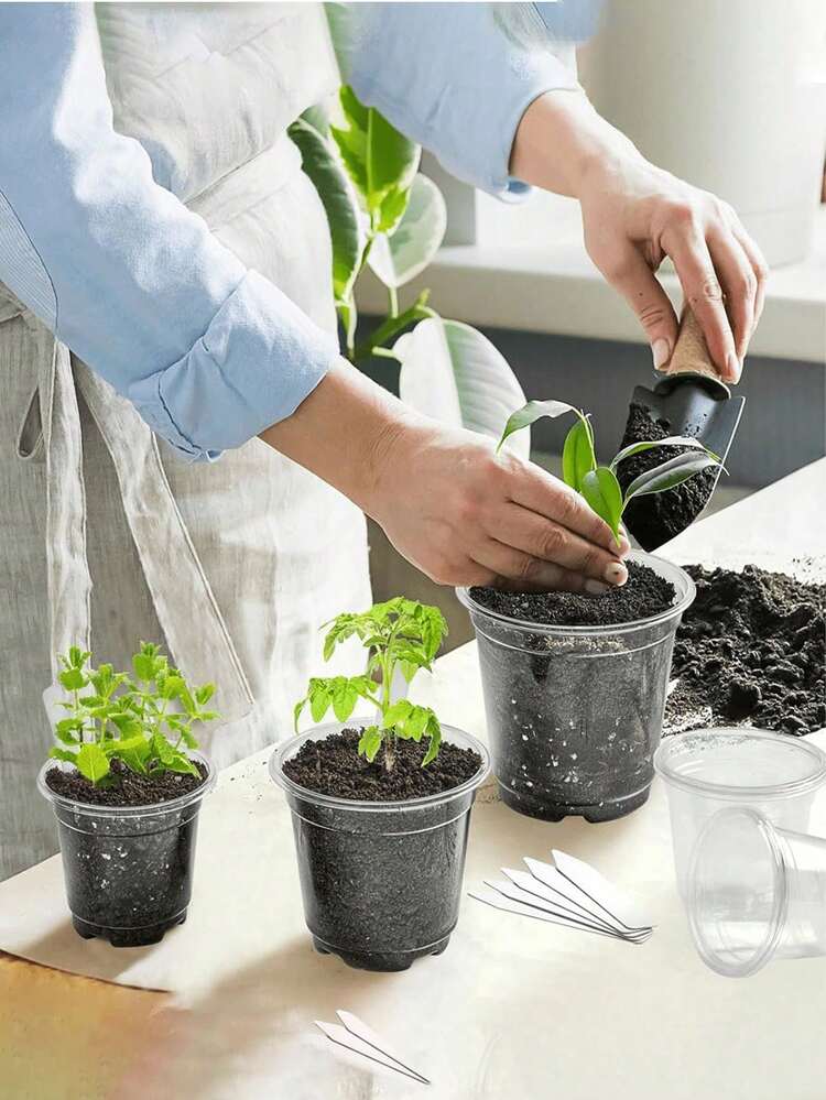 1-5pcs Transparent Plastic Plant Seedling Pots With Drainage Holes, Suitable For Indoor Succulents, Seed Germination, Flower Seedlings, Cuttings, Root Growth Observation - Multicolor - View 6