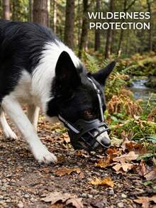 1PC Durable And Sturdy Dog Muzzle, Effectively Prevents Barking And Foraging. Soft High-Quality Material, Suitable For Small, Medium To Large Dogs. Anti-Bite, Anti-Harassment, Multiple Sizes Available, Ideal Pet Muzzle Protection - Multicolor - View 5