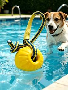1pc Large Durable EVA Floating Dog Training Ball, Minimalist Practical Style, Solid Color Options, Bone-Shaped Floating Dog Toy, Round Ball With Pull Ring, Comes With Leash For Easy Control - Multicolor - View 2