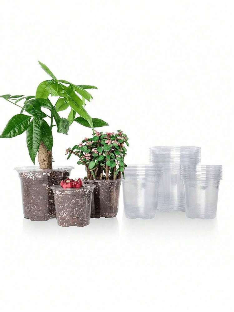 1-5pcs Transparent Plastic Plant Seedling Pots With Drainage Holes, Suitable For Indoor Succulents, Seed Germination, Flower Seedlings, Cuttings, Root Growth Observation - Multicolor - View 8