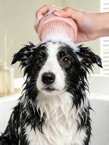 Sikat Mandi Hewan Peliharaan – Alat Perawatan Penting untuk Kucing dan Anjing (Cocok untuk Poodle, Golden Retriever, dan Ras Lainnya) - View 1