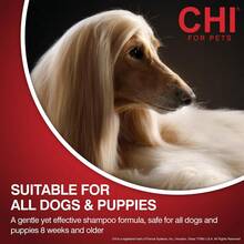 CHI For Dogs Detangling Finishing Spray Leave-In Dog Grooming Mist Releases Tangles And Knots Light Conditioning Shine Finish Sulfate And Paraben - ColorB - View 5